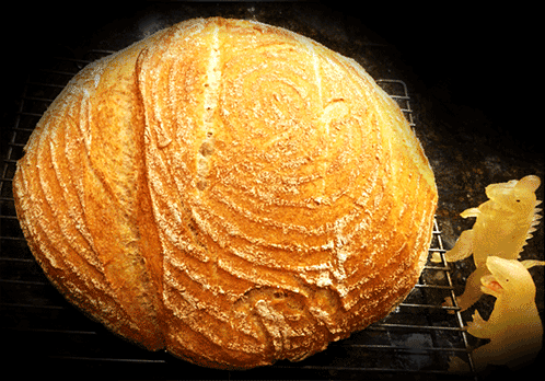 no-knead bread